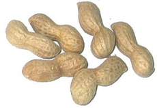 Erdnüsse-6.jpg